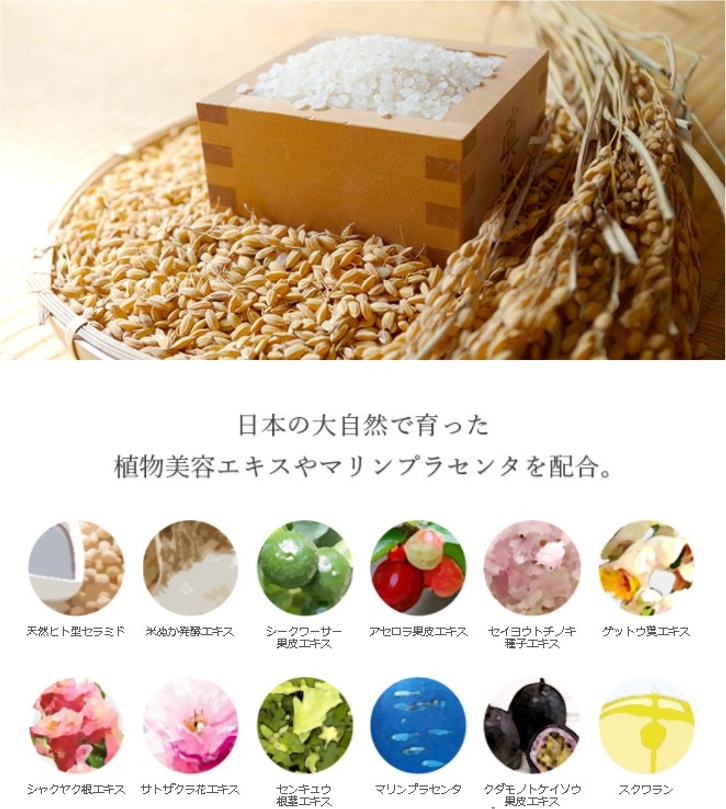 AJ���C�X�`���[�Q���N���[�������ɂ���